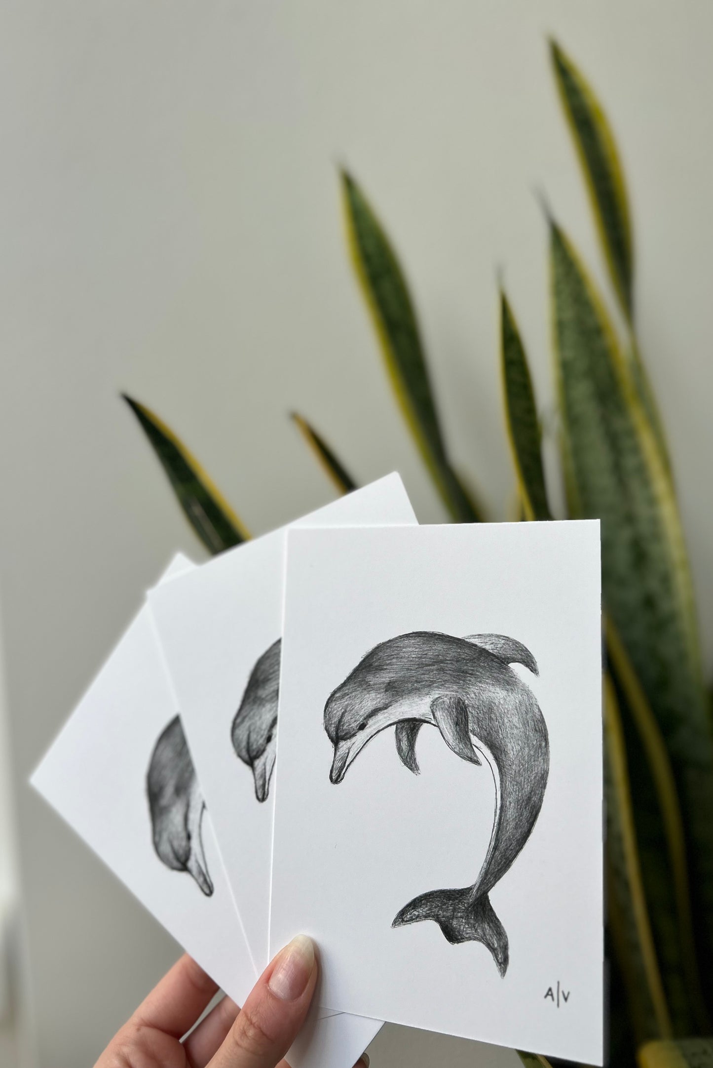 Sketch card - dolphin