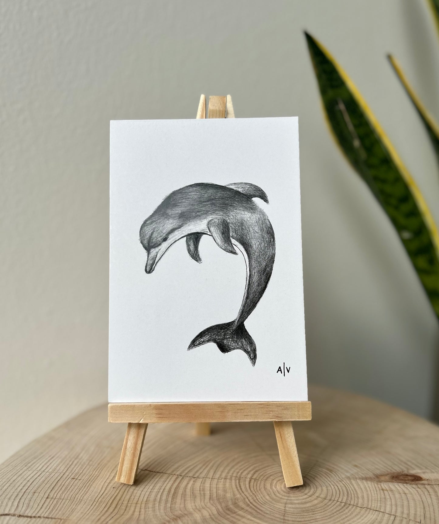 Sketch card - dolphin