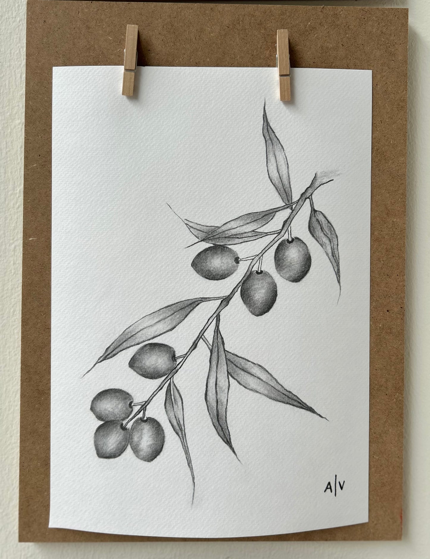 Sketch Print - Olive branch
