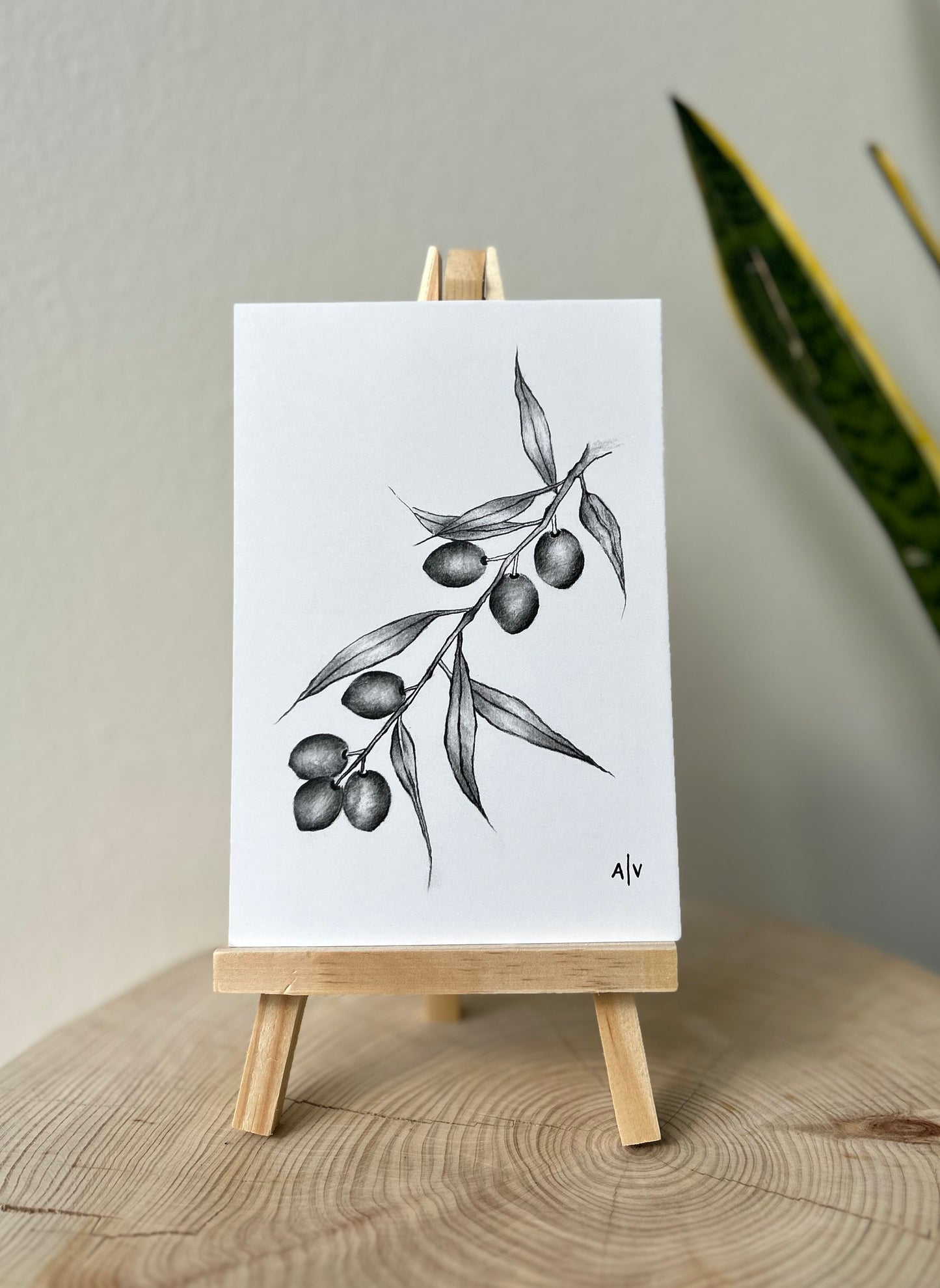Sketch card - olive branch