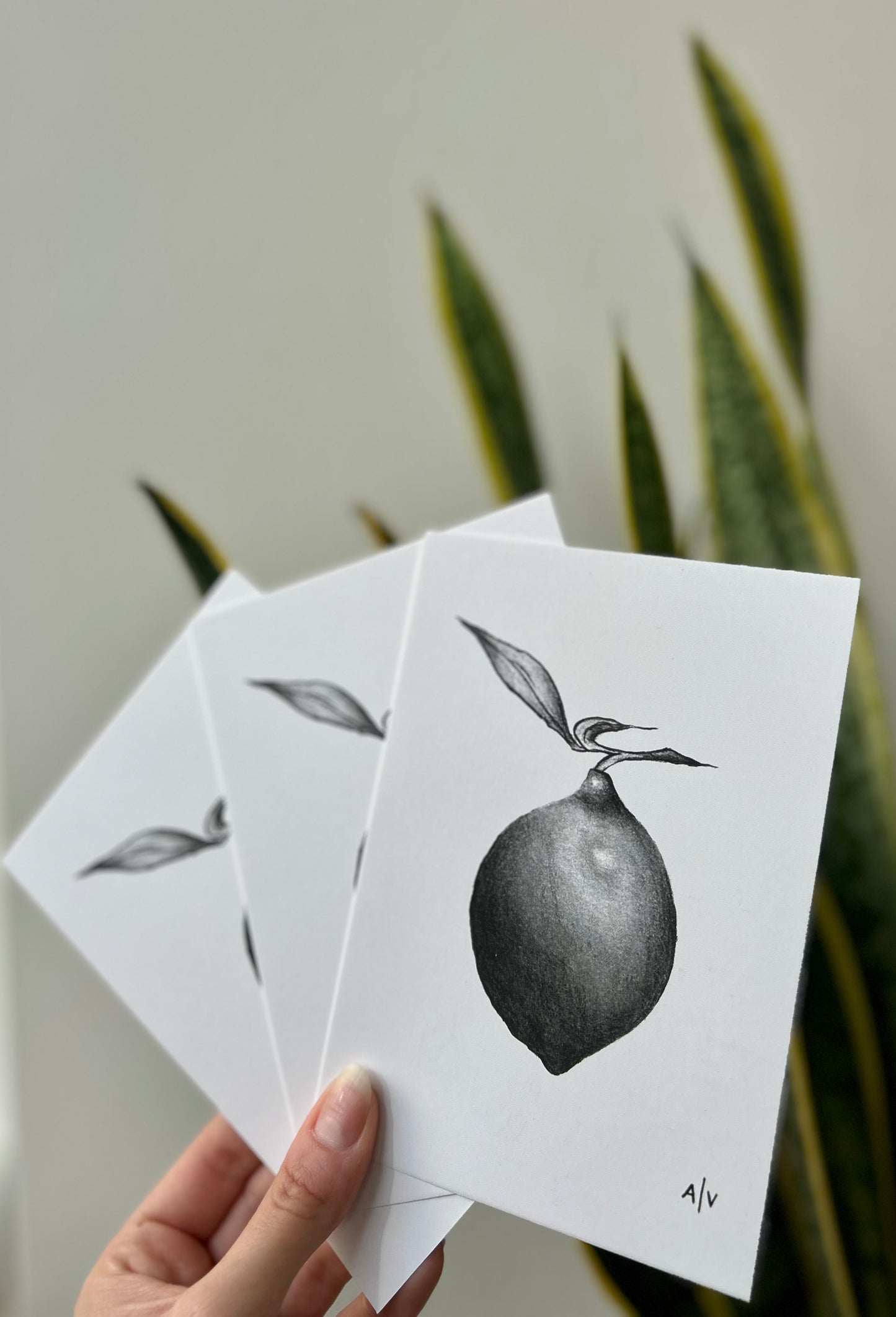 Sketch card - lemon