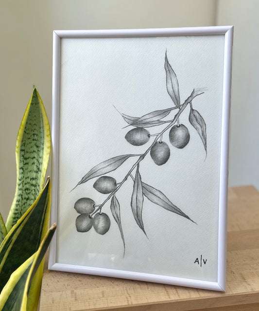 Sketch Print - Olive branch