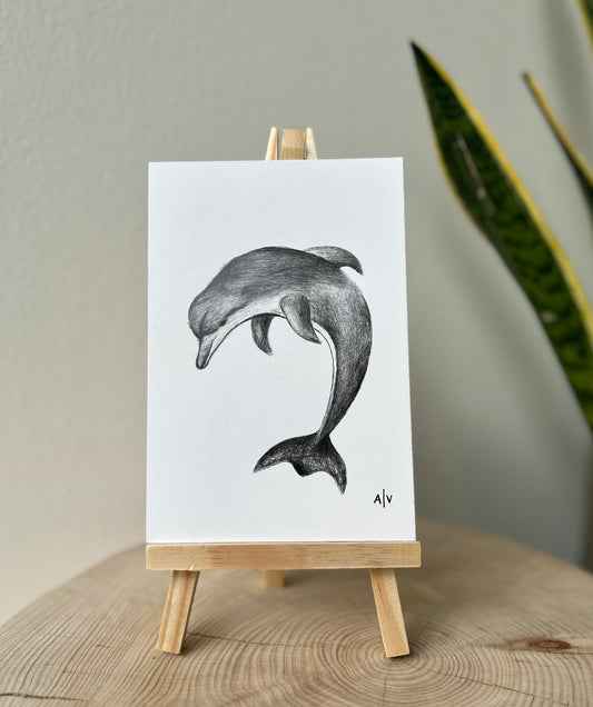 Sketch card - dolphin