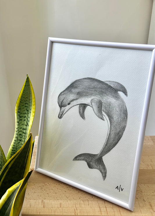 Sketch Print - dolphin