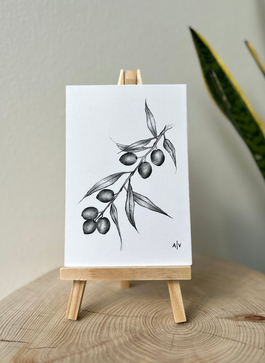 Sketch card - olive branch